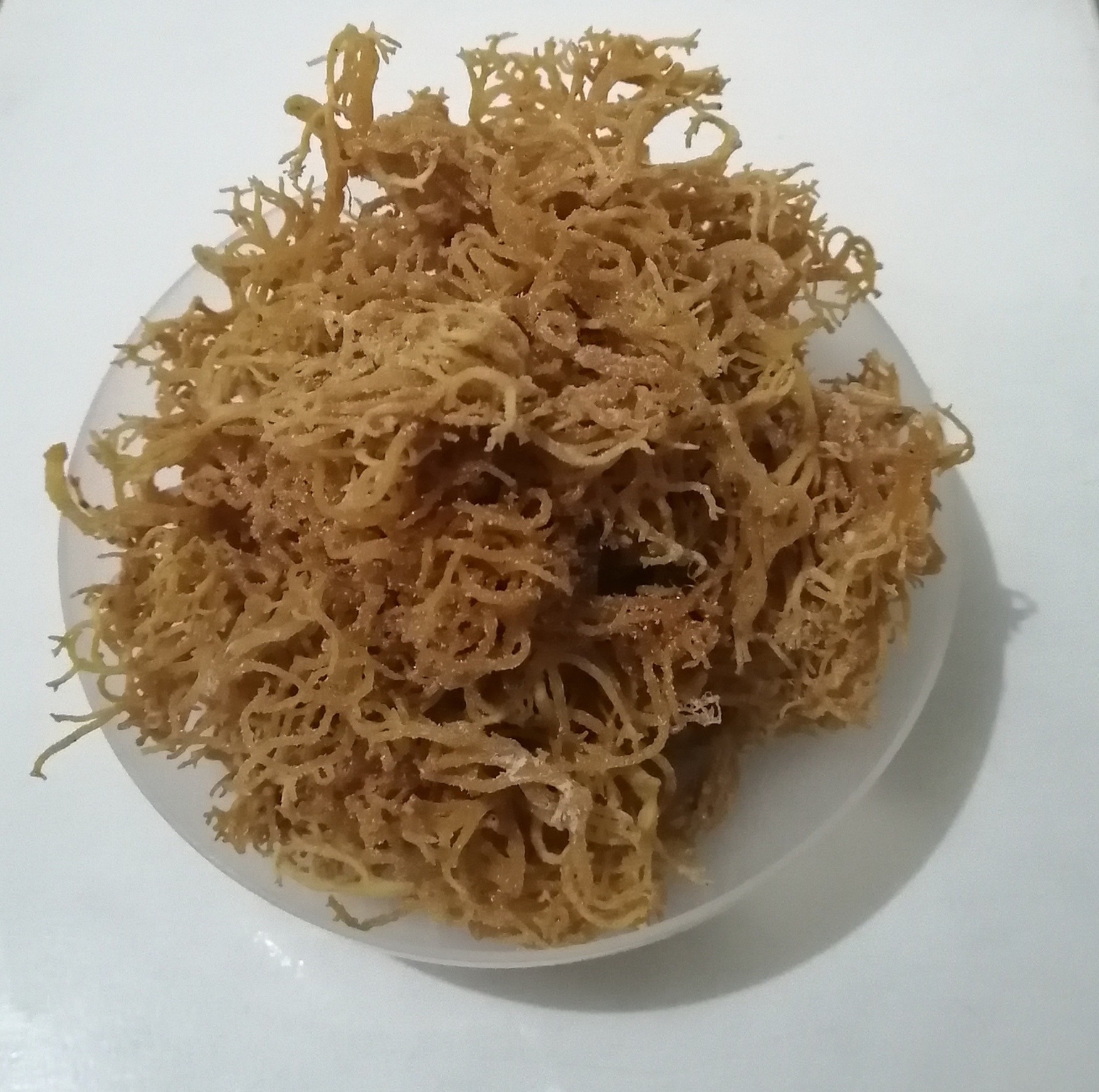 Carrageen Moss Premium Sea Moss