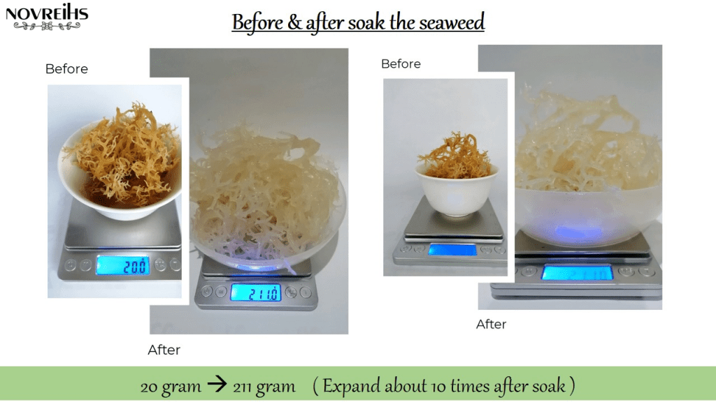Before After Soak the clean dried Sea Moss