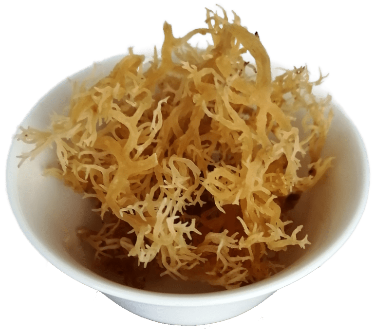 Novreihs Beauty & Healthy Start From Inside with Premium Sea Moss